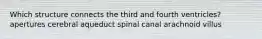 Which structure connects the third and fourth ventricles? apertures cerebral aqueduct spinal canal arachnoid villus
