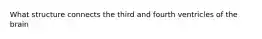 What structure connects the third and fourth ventricles of the brain