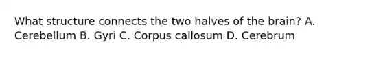 What structure connects the two halves of the brain? A. Cerebellum B. Gyri C. Corpus callosum D. Cerebrum