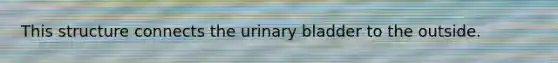 This structure connects the urinary bladder to the outside.