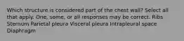 Which structure is considered part of the chest wall? Select all that apply. One, some, or all responses may be correct. Ribs Sternum Parietal pleura Visceral pleura Intrapleural space Diaphragm