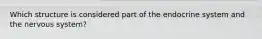 Which structure is considered part of the endocrine system and the nervous system?