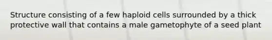 Structure consisting of a few haploid cells surrounded by a thick protective wall that contains a male gametophyte of a seed plant