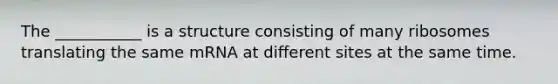 The ___________ is a structure consisting of many ribosomes translating the same mRNA at different sites at the same time.