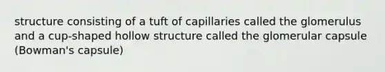 structure consisting of a tuft of capillaries called the glomerulus and a cup-shaped hollow structure called the glomerular capsule (Bowman's capsule)