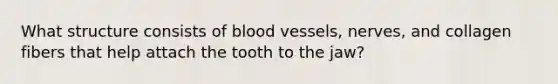 What structure consists of blood vessels, nerves, and collagen fibers that help attach the tooth to the jaw?