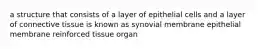 a structure that consists of a layer of epithelial cells and a layer of connective tissue is known as synovial membrane epithelial membrane reinforced tissue organ