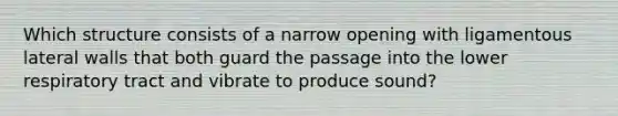 Which structure consists of a narrow opening with ligamentous lateral walls that both guard the passage into the lower respiratory tract and vibrate to produce sound?