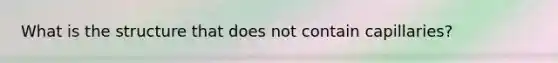 What is the structure that does not contain capillaries?