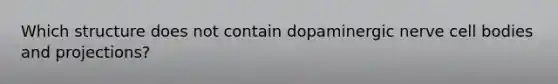 Which structure does not contain dopaminergic nerve cell bodies and projections?