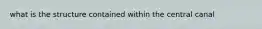 what is the structure contained within the central canal