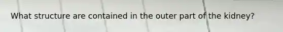 What structure are contained in the outer part of the kidney?