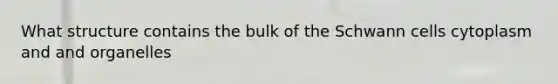 What structure contains the bulk of the Schwann cells cytoplasm and and organelles