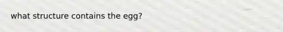 what structure contains the egg?