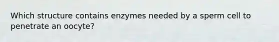 Which structure contains enzymes needed by a sperm cell to penetrate an oocyte?