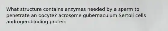 What structure contains enzymes needed by a sperm to penetrate an oocyte? acrosome gubernaculum Sertoli cells androgen-binding protein