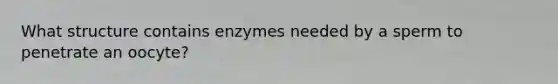 What structure contains enzymes needed by a sperm to penetrate an oocyte?