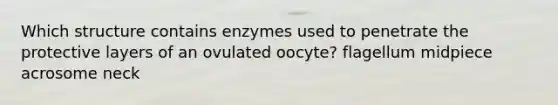 Which structure contains enzymes used to penetrate the protective layers of an ovulated oocyte? flagellum midpiece acrosome neck