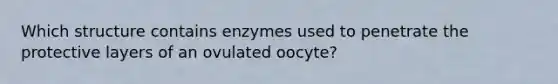 Which structure contains enzymes used to penetrate the protective layers of an ovulated oocyte?