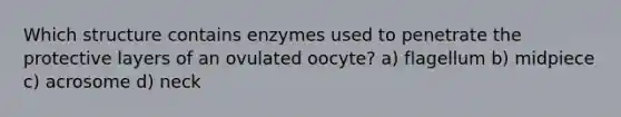 Which structure contains enzymes used to penetrate the protective layers of an ovulated oocyte? a) flagellum b) midpiece c) acrosome d) neck