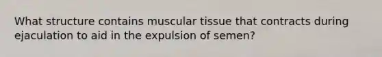 What structure contains muscular tissue that contracts during ejaculation to aid in the expulsion of semen?