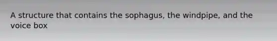 A structure that contains the sophagus, the windpipe, and the voice box