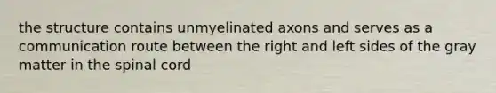 the structure contains unmyelinated axons and serves as a communication route between the right and left sides of the gray matter in the spinal cord