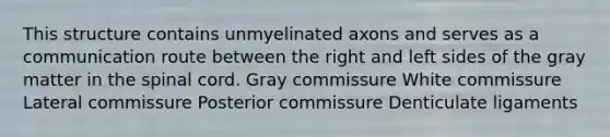 This structure contains unmyelinated axons and serves as a communication route between the right and left sides of the gray matter in the spinal cord. Gray commissure White commissure Lateral commissure Posterior commissure Denticulate ligaments