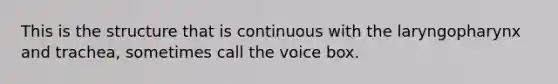 This is the structure that is continuous with the laryngopharynx and trachea, sometimes call the voice box.