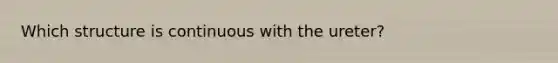 Which structure is continuous with the ureter?