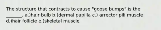 The structure that contracts to cause "goose bumps" is the _______. a.)hair bulb b.)dermal papilla c.) arrector pili muscle d.)hair follicle e.)skeletal muscle