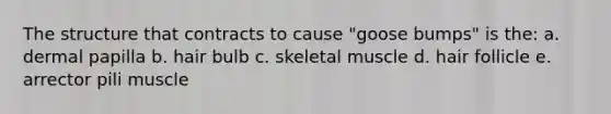 The structure that contracts to cause "goose bumps" is the: a. dermal papilla b. hair bulb c. skeletal muscle d. hair follicle e. arrector pili muscle