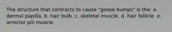 The structure that contracts to cause "goose bumps" is the: a. dermal papilla. b. hair bulb. c. skeletal muscle. d. hair follicle. e. arrector pili muscle