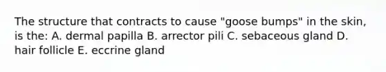 The structure that contracts to cause "goose bumps" in the skin, is the: A. dermal papilla B. arrector pili C. sebaceous gland D. hair follicle E. eccrine gland