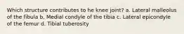 Which structure contributes to he knee joint? a. Lateral malleolus of the fibula b. Medial condyle of the tibia c. Lateral epicondyle of the femur d. Tibial tuberosity