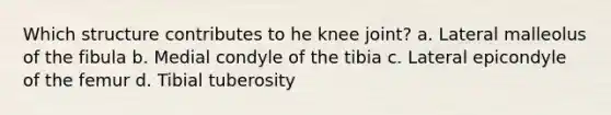 Which structure contributes to he knee joint? a. Lateral malleolus of the fibula b. Medial condyle of the tibia c. Lateral epicondyle of the femur d. Tibial tuberosity