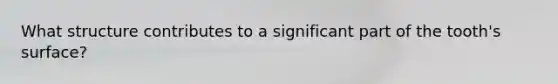 What structure contributes to a significant part of the tooth's surface?