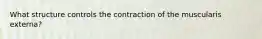 What structure controls the contraction of the muscularis externa?