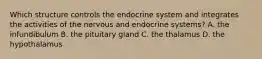 Which structure controls the endocrine system and integrates the activities of the nervous and endocrine systems? A. the infundibulum B. the pituitary gland C. the thalamus D. the hypothalamus