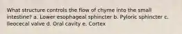 What structure controls the flow of chyme into the small intestine? a. Lower esophageal sphincter b. Pyloric sphincter c. Ileocecal valve d. Oral cavity e. Cortex