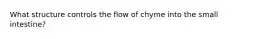 What structure controls the flow of chyme into the small intestine?