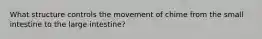 What structure controls the movement of chime from the small intestine to the large intestine?