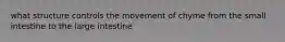 what structure controls the movement of chyme from the small intestine to the large intestine