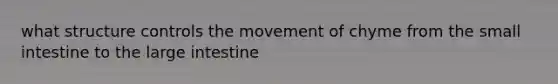 what structure controls the movement of chyme from the small intestine to the large intestine