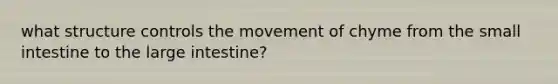 what structure controls the movement of chyme from the small intestine to the large intestine?