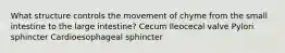 What structure controls the movement of chyme from the small intestine to the large intestine? Cecum Ileocecal valve Pylori sphincter Cardioesophageal sphincter