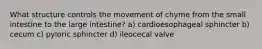 What structure controls the movement of chyme from the small intestine to the large intestine? a) cardioesophageal sphincter b) cecum c) pyloric sphincter d) ileocecal valve