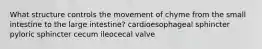 What structure controls the movement of chyme from the small intestine to the large intestine? cardioesophageal sphincter pyloric sphincter cecum ileocecal valve