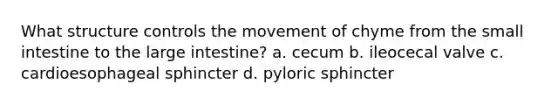 What structure controls the movement of chyme from the small intestine to the large intestine? a. cecum b. ileocecal valve c. cardioesophageal sphincter d. pyloric sphincter