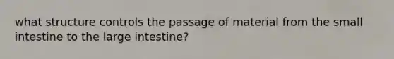 what structure controls the passage of material from the small intestine to the large intestine?